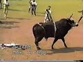 EL TORO MICKEY MOUSE