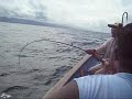Sting Ray Fishing Trinidad And Tobago