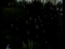 cheerdance-(iolites) cheerdance-(iolites)