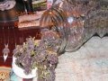SouthWest Original Ryderz(Let'z Get High)***New***