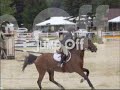 chagrin valley hunterjumper classic.html