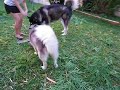 Ashley and Caesar