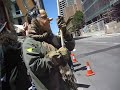 Adelaide Raid on Scientology Feb 10th
