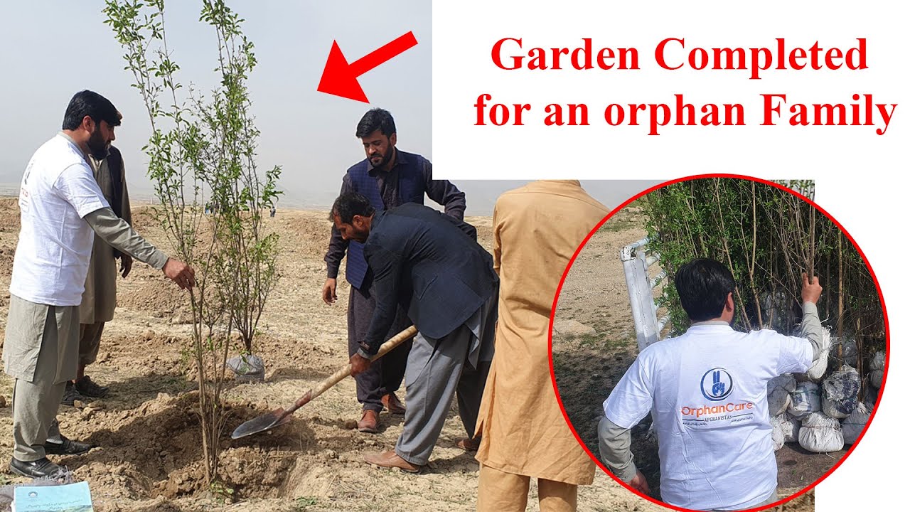A Garden Completed in Dehsubz Distric For Orphans /د کابل ده سبز ولسوالۍ کې د یتمانو یو بلې کورنۍ ته