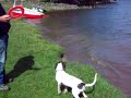 Molly, Max and Ian in Lake Coniston on holiday