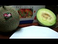 Click here to watch this video 甘さ一番 肥後グリーンというメロンを食べてみました２