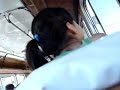Maqi boluda-flogger te esta filmando a rre:$