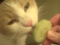 Emric eating cucumber