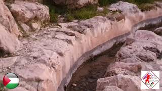  | موسوعة التراث الفلسطيني