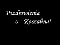 Piotr Rogucki (Coma) - A My