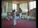 Mawashi tobi geri and yoko geri
