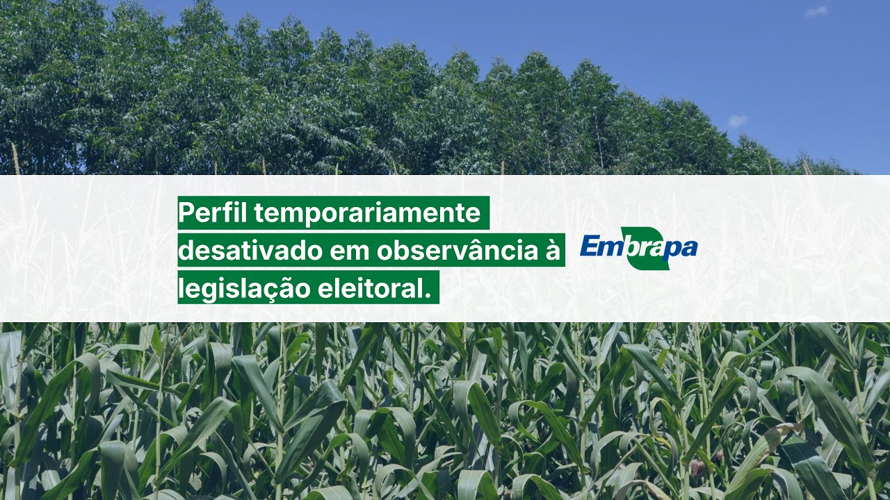 Embrapa apresenta recomendações técnicas regionais de enfrentamento do El Niño