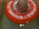 alle eendjes zwemmen in het water met bas abrahams