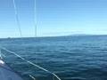 videos de Glenn Marsh Sailing - Waiheke