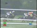ファンタジーステークス (Jpn3) オディール