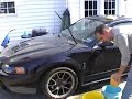 Optimum No-Rinse ONR on 1999 Mustang Cobra Optimum No-Rinse ONR on 1999 Mustang Cobra