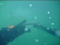 Spearfishing