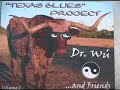 Texas Blues Project That Is Pure Texas Blues Rock