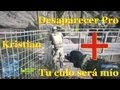 BF3 - El culo de un sniper a tiro... ¿Qué pasará?