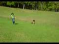 Rolling Down the Hill