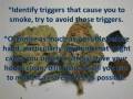 videos de How to stop smoking weed