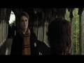 HP: White Shadows (Harry/Cedric)