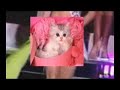 MISS USA GOES DOWN!