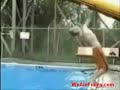 Stupid boy want to jump into the swimmingpool. Dummer Bub will wie ein Angeber in den Swimmingpool reinhüpfen, dass hat er davon!