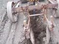 Potato Planter Demonstration