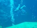 Weeki Wachee \"Deep Dive\"