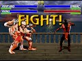 2D Fighting