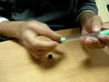 videos de Fluo M.A. Tutorial