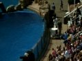 Google Maps Street View Capturing SeaWorld Orlando