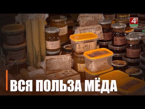 Узнали, чем полезен мёд и почему важно найти своего пчеловода видео