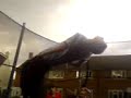 flipz(david,ryan,liam)