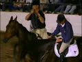 David O'Connor riding bridleless in a parelli show