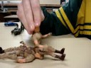 Owned Army Men - TeeBagged