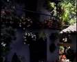 ALMA DEL HUILA