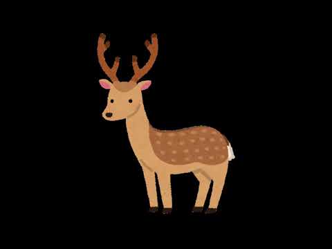 動画