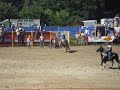 Rodeo Hilter 2007 Wildpferdreiten Zweites Go Dani