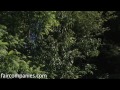 G+: DIY dyes from your kitchen & garden: magic of living color - YouTube http://www.youtube.com/watch?v=In4sj7BoOI0&feature=uploademail #preppers https://plus.google.com/104707914502304652469/posts/QY6tZkRzg9A