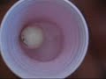 Beer Pong Tricks shots Beer Pong Tricks shots