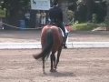 BRILLIANT TOO & KATE POULIN-NEFF in I-Freestyle 2007 Nat'l