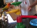 training birds, video 1