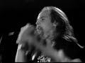 rattlebone heart video