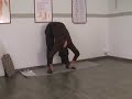 Vayu Nishkasana (posizione che libera i venti)