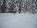 Red Mountain - Jan 5 2009 - 50 cm fresh powder Red Mountain - Jan 5 2009 - 50 cm fresh powder