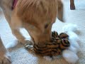 Molly destroys toy