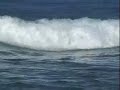 Tims RC Surfer