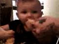 Baby Eating a Lemon
